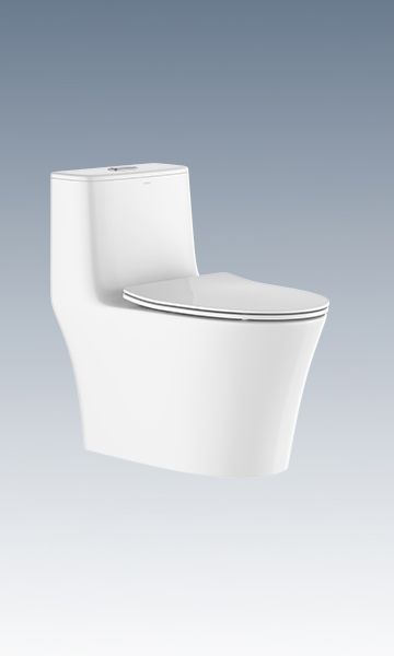 LC0905DT D5超旋風(fēng)節(jié)水坐便器